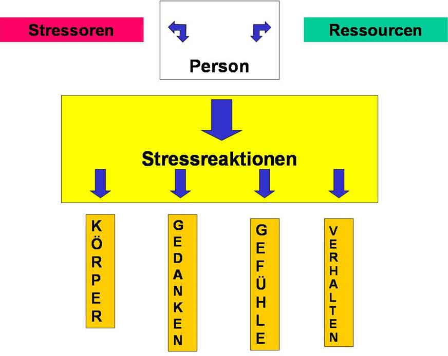 stress-modell